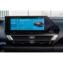 Citroën display reparatie | LCD‑scherm herstellen | vervangen